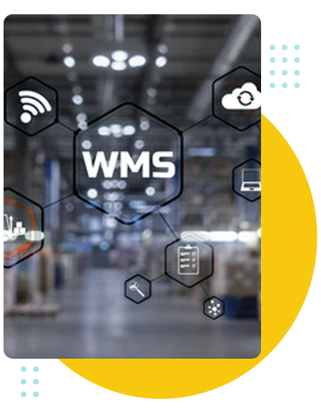 Food and Beverage WMS Integrations, Interfacing more