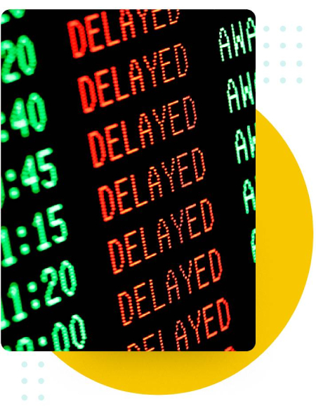 What is Lead Time_Shipping Delays-