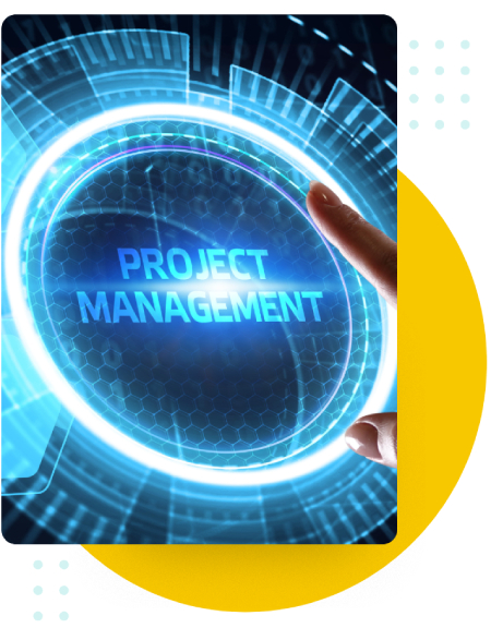 SAP ByDesign WMS Integration - Project Management