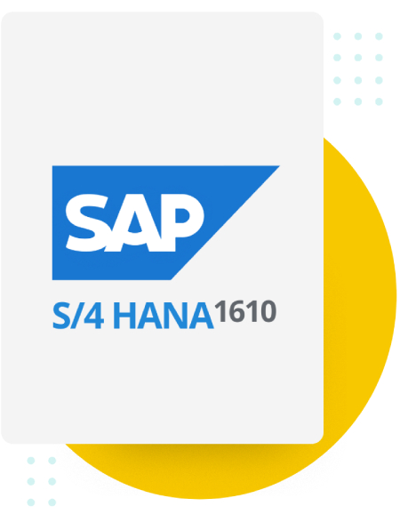 SAP S_4HANA WMS Integration - S_4HANA 1610