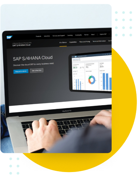 SAP S_4HANA WMS Integration - What is SAP S_4HANA_