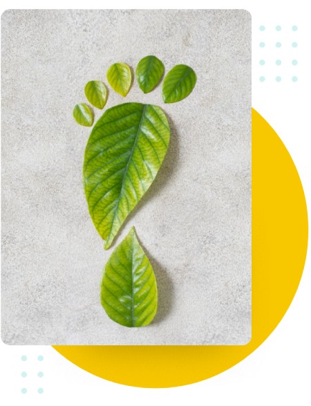 Canary7; eCommerce returns management software - Minimising the carbon footprint